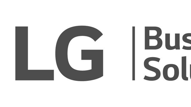 8. LG Business Solutions Logo Gray CMYK