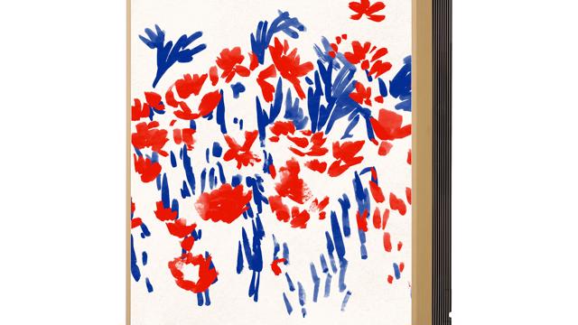 Rac Eu S3nm09el16a Ga1 5 0 Gallery 03 2010